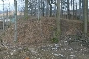 pozůstatky tvrze Adolfovice (© Vlastislav Mareček, 03/2016)