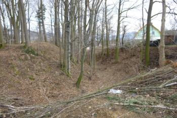 pozůstatky tvrze Adolfovice (© Vlastislav Mareček, 03/2016)