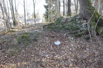 pozůstatky tvrze Adolfovice (© Vlastislav Mareček, 03/2016)