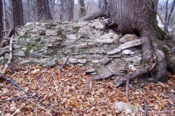 Pozůstatek obytné věže (© Martin Smital, 11/2008)
