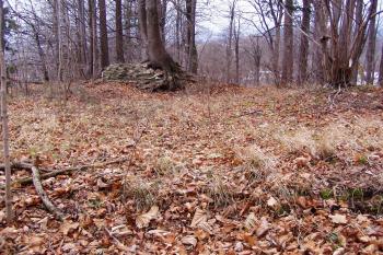 Pohled do věže (© Martin Smital, 11/2008)