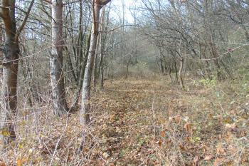 Novodobá /dnes již nefunkční/ traktorová cesta, která vedla i sv. příkopem (© Dušan Dohňanský  11/2021)