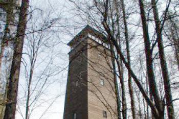 Háj u Šumperka (2003 ©Martin KLIMÁNEK)
