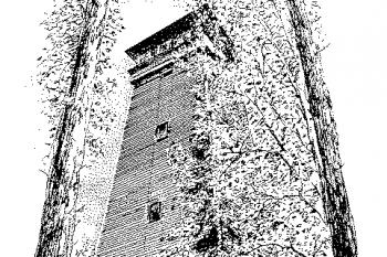 ( © Zdeňka Rambousková 2005)