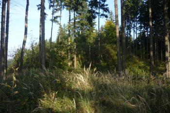 Hrad Nový Šaumburk (© Karel Světlík, 10/2010)