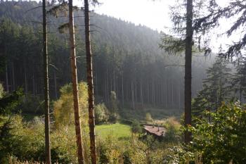 Hrad Nový Šaumburk (© Karel Světlík, 10/2010)