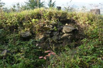 Hrad Nový Šaumburk (© Karel Světlík, 10/2010)