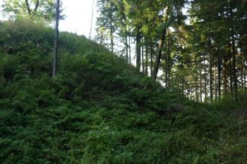 Hrad Nový Šaumburk (© Karel Světlík, 10/2010)