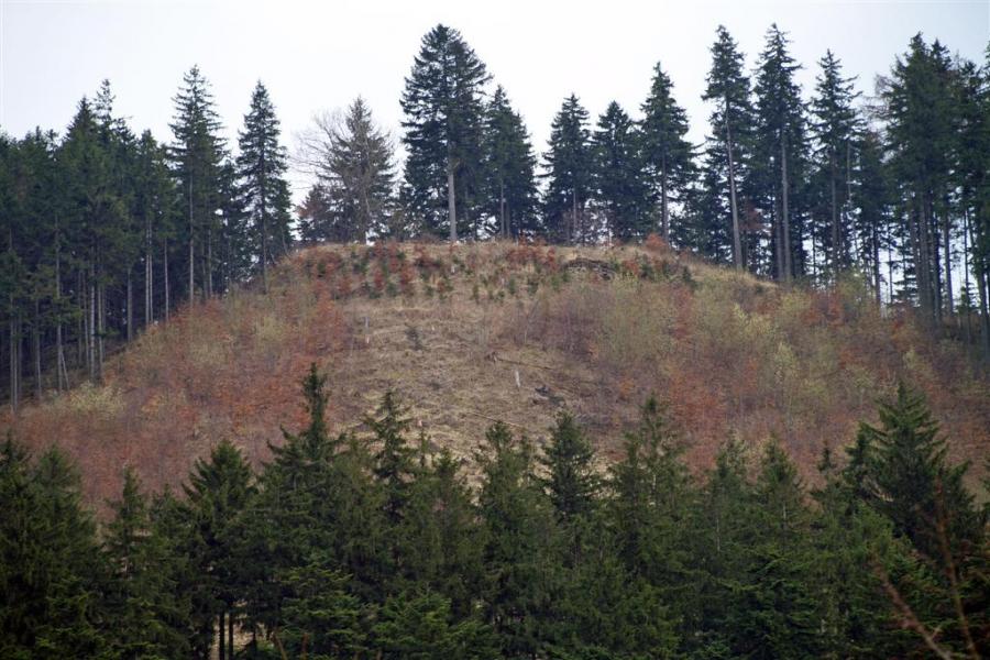 Nový Šaumburk