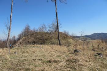 Pohled z předhradí na západní straně areálu (© Dušan Dohňanský 04/2020)