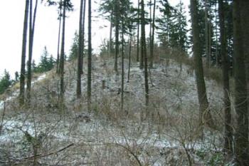 Zubříč - celková situace (2003 ©Puffin Puffin)