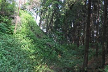 Nový Šaumburk ( © Jiří Čížek 07/2003)