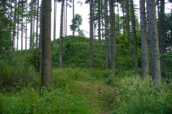 Zřícenina hradu Zubříč - hradní pahorek  (© Pavel Jarý, 07/2010)