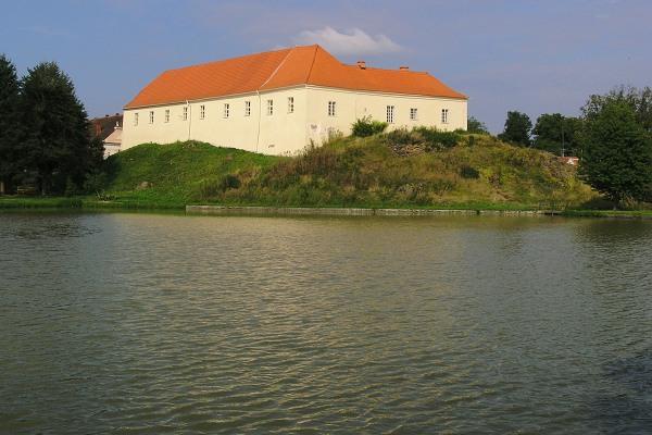 Puclice
