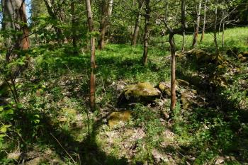 rozvaliny budov mlýna (© Milan Caha 05/2020)