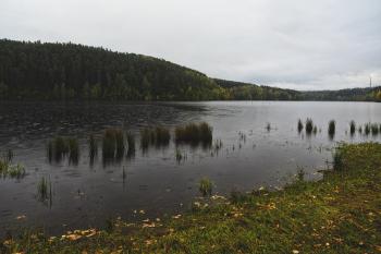  (© Petr Žák  11/2020)