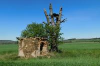 kaple