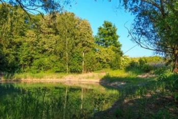 přírodní památka Michnovka-Pravy (© AOPKČR  07/2016)