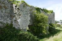 Glenogra