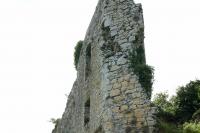 Glenogra