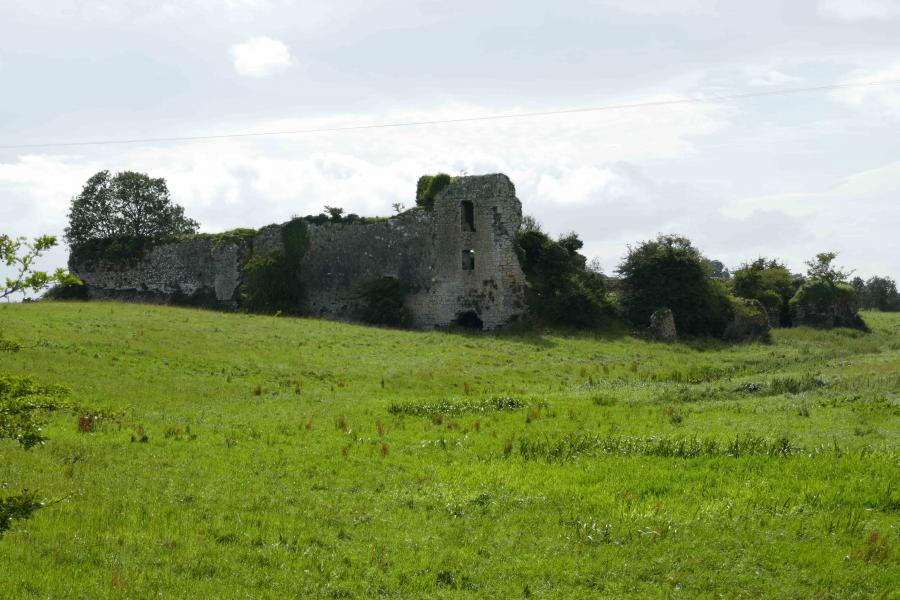 Glenogra