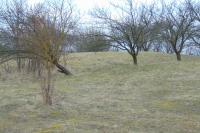 Vlčnov