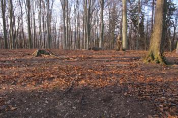 Téměř rovinný povrch jádra (© Dušan Dohňanský 02/2020)