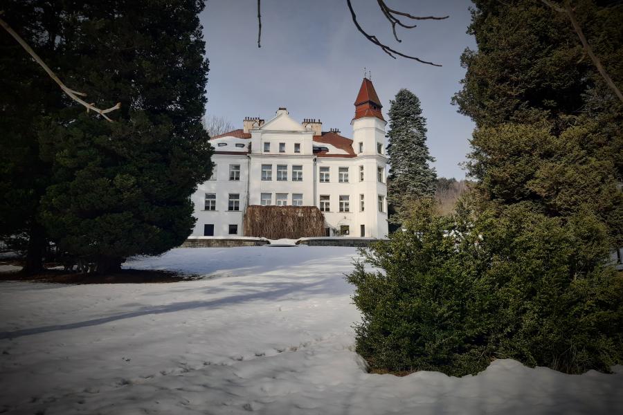 Schierova vila