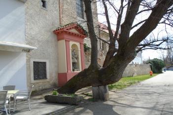 kaple od severu (© Marcela Váňová 04/21)