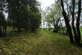 bývalá přístupová cesta od Útviny (© Milan Caha 05/2020)