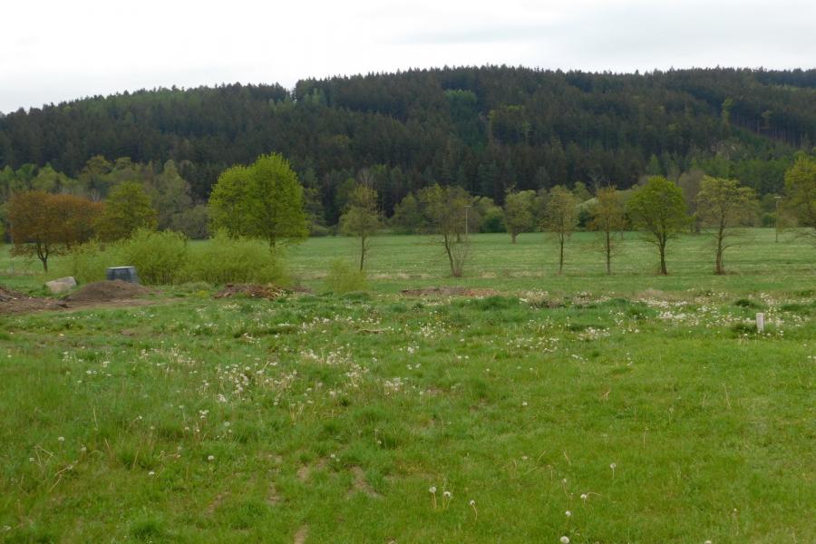 starý židovský hřbitov