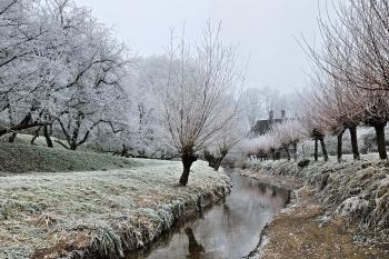 mlýnský náhon u Starého bělidla (© Jan P. Štěpánek  01/2025)