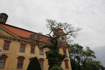  ( © Luděk Vláčil 05/2015)