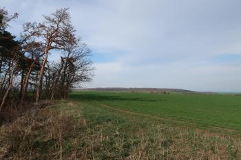  (© Prudký Martin 04/2021)