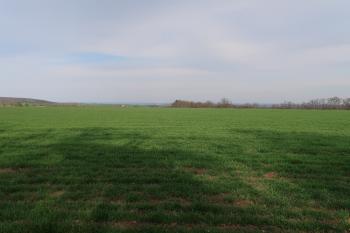 (© Prudký Martin 04/2021)