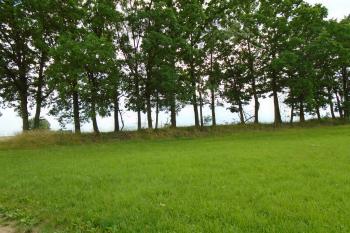 severní val hradiště (© Marcela Váňová  07/2021)