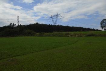 jižní val hradiště (© Marcela Váňová  07/2021)