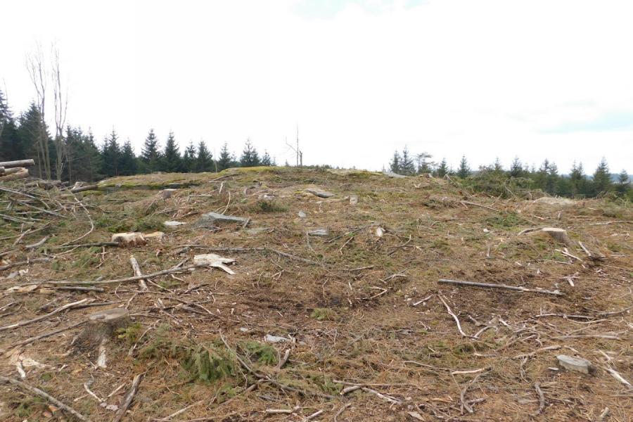 Lísek