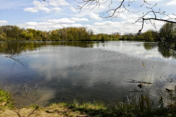 V Pískovně (© Simona Kidlesová  05/2021)