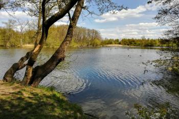 V Pískovně (© Simona Kidlesová  05/2021)