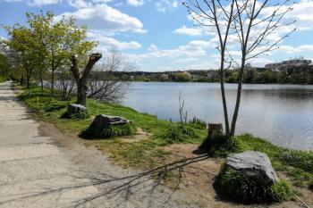 Kyjský rybník (© Simona Kidlesová  05/2021)