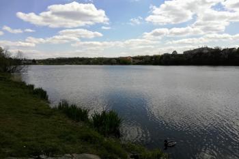 Kyjský rybník (© Simona Kidlesová  05/2021)