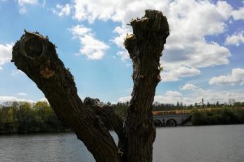 Kyjský rybník (© Jiří Špaček  05/2021)