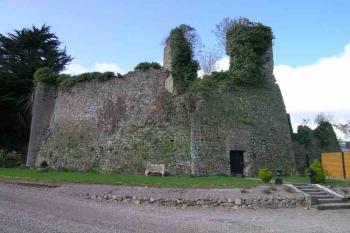  (© Irský památkový katalog https://www.archaeology.ie/archaeological-survey-ireland)