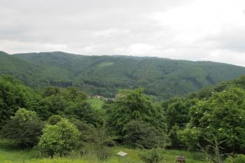 pohled z předhradí na sv. (© D Dohňanský, 06/2017)