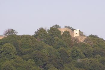 Phled na hradní zříceninu od cesty na Příbor, Lubinu,... (© Jan P. Štěpánek 08/2006)