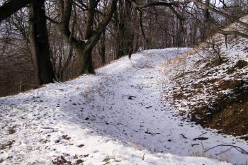 torzo valu a příkopu obklopujícího z venčí tzv. Kulatinu ( © Jan P. Štěpánek 12/2007)