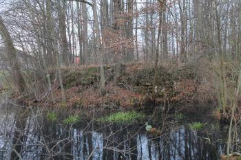 Dolní Životice-pozůstatk tvrze (© Vlastislav Mareček, 11/2016)