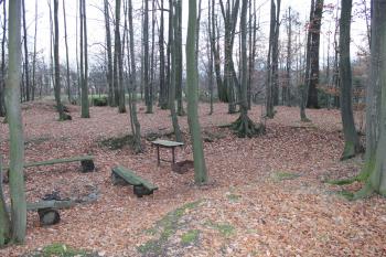 Dolní Životice-pozůstatk tvrze (© Vlastislav Mareček, 11/2016)