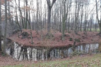 Dolní Životice-pozůstatk tvrze (© Vlastislav Mareček, 11/2016)